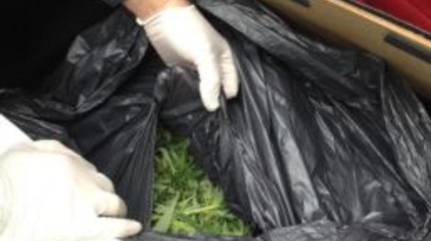 Rize&rsquo;de Uyuşturucu İle M&uuml;cadele