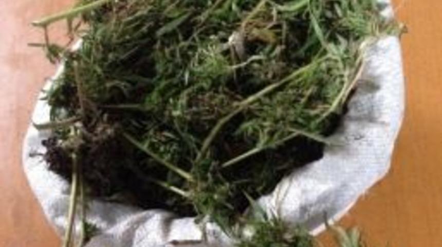 Trafik Kazasında Esrar Ele Ge&ccedil;ti