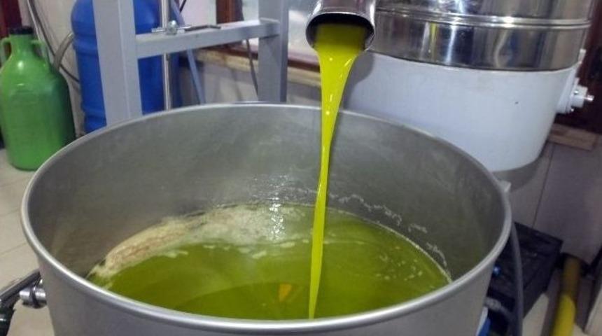 Zeytinyağının Kalitesi Sevindirdi