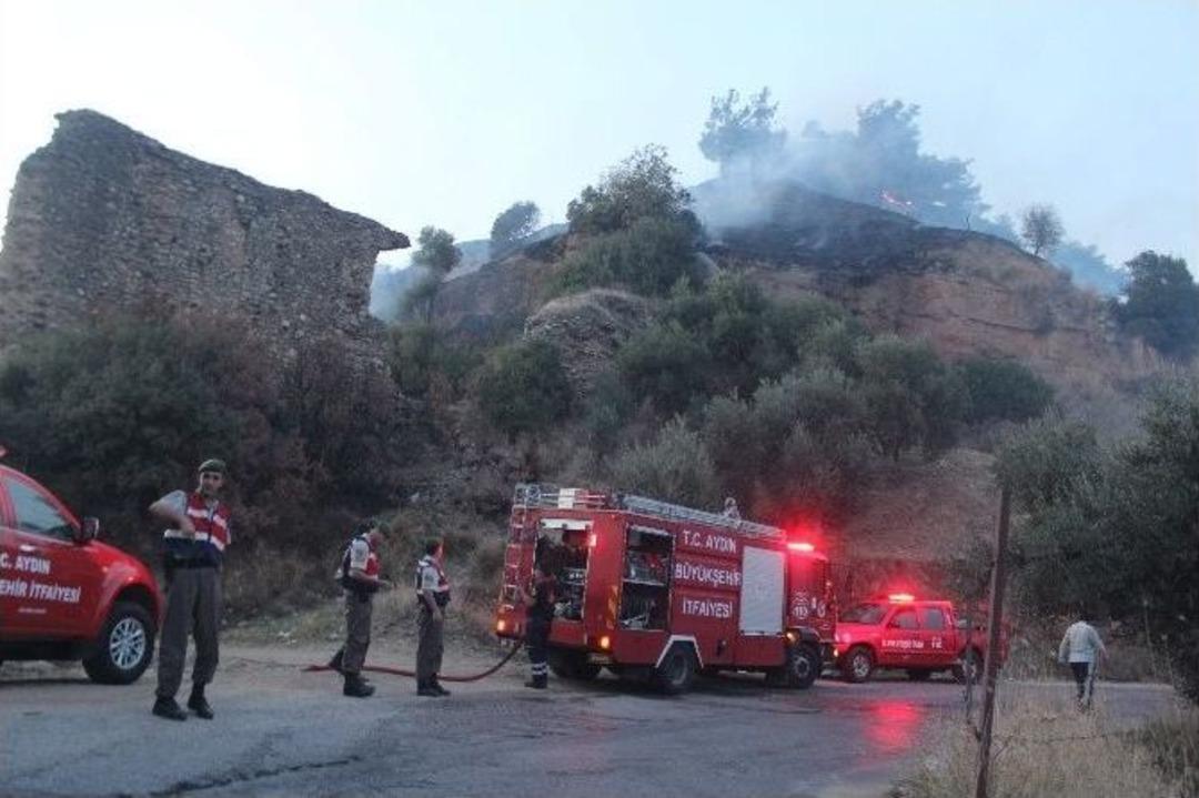 Aydın Dağlarında Zeytinlik Ve Makilik Yangını
