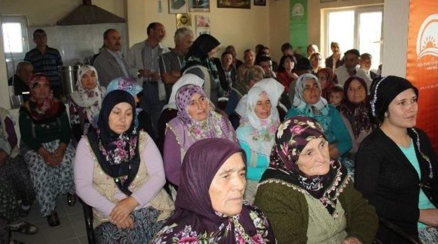 Seyitgazi&rsquo;de 15 Ekim D&uuml;nya Kadın &Ccedil;ift&ccedil;iler G&uuml;n&uuml; Kutlandı