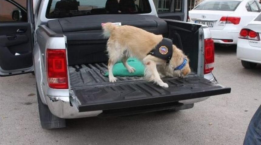 Kırşehir&rsquo;de 45 Kilo Eroin Ele Ge&ccedil;irildi