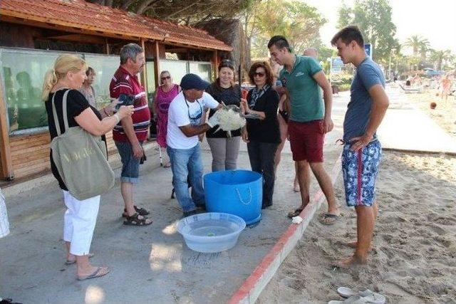 Kuşadası’nda Deniz Kaplumbağası İçin Seferberlik