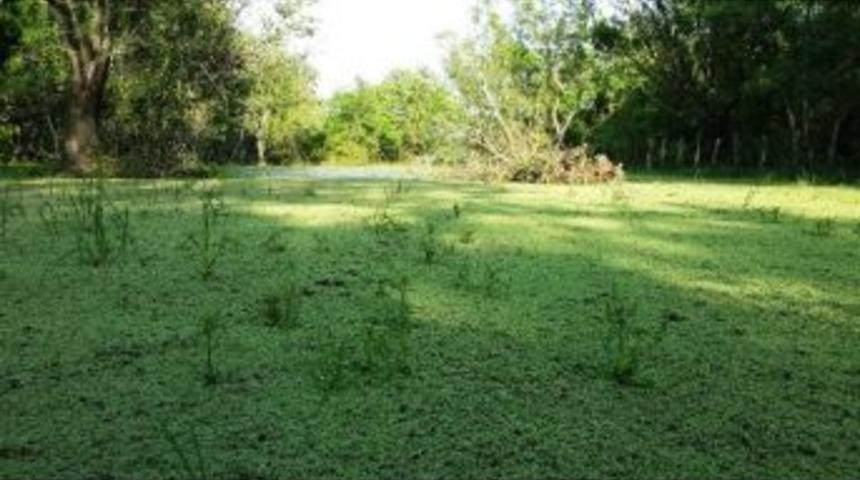 Karacabey Longozu, Her Mevsim Ziyaret&ccedil;ilerini Bekliyor