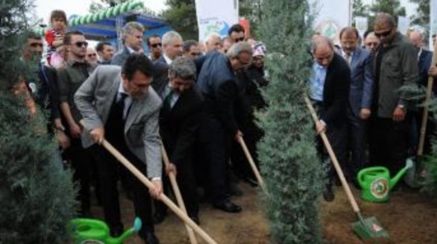 Orman Ve Su İşleri Bakanlığından &ldquo;her Fidan Bir Can, Bursa&rsquo;ya Yeni Orman&rdquo; Kampanyası