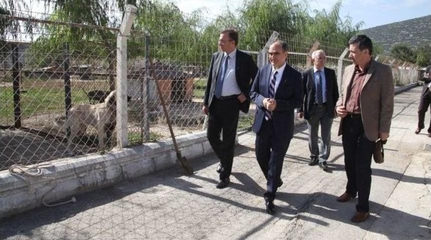 Vali &Ouml;zkan&rsquo;ın Sd&uuml; Turu