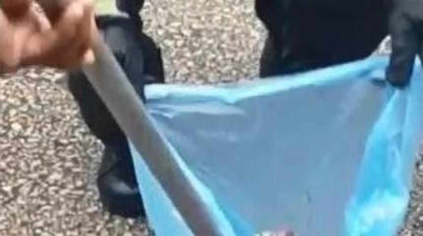 Otomobilin Kaputundan Engerek Yılanı &Ccedil;ıktı