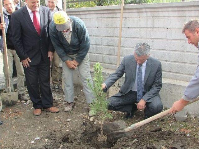 Eğitim Öğretime Yeni Başlayan Atatürk İlköğretim Okulu Bahçesine 45 Fidan Dikildi