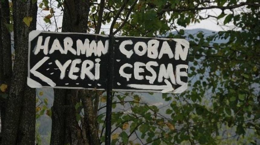 Y&ouml;n Tabelaları Olmayınca &Ccedil;areyi Kendileri Buldu