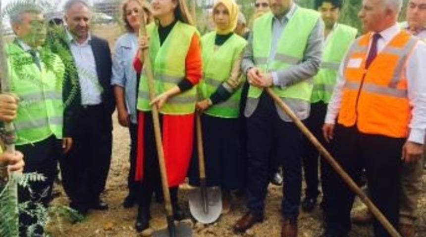 N&uuml;khet Hotar Fidan Dikim T&ouml;renine Katıldı