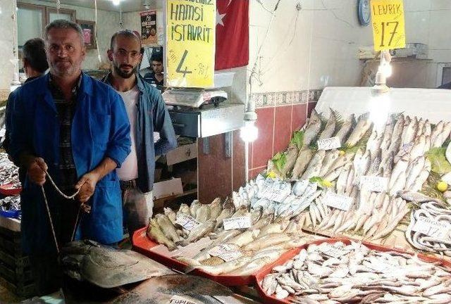 Balık Pazarının Dev Misafiri Görenleri Hayrete Düşürüyor