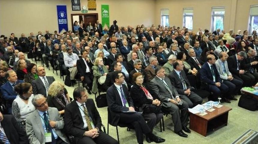 Bursa Kent Konseyi&rsquo;nde Hasan &Ccedil;epni D&ouml;nemi