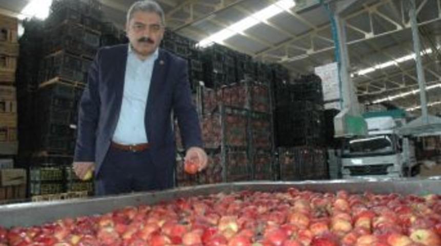 Karaman&rsquo;da Elma Standartları &Ccedil;alıştayı Yapılacak