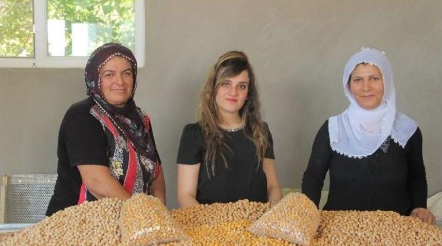 (&ouml;zel Haber) Kadın Patron, 2 Kadın İş&ccedil;isi İle Birlikte Leblebi Fabrikası A&ccedil;tı