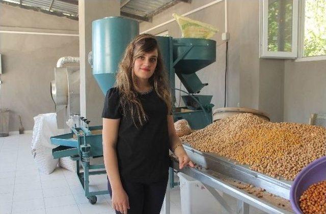 (&ouml;zel Haber) Kadın Patron, 2 Kadın İş&ccedil;isi İle Birlikte Leblebi Fabrikası A&ccedil;tı 2