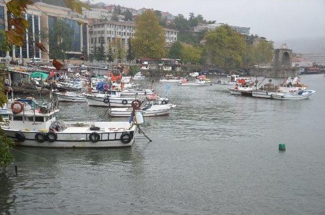 Karadeniz’de Dalgalar Gemileri Beşik Gibi Salladı