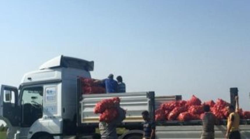 Üretim Düştü, Soğan Para Etti