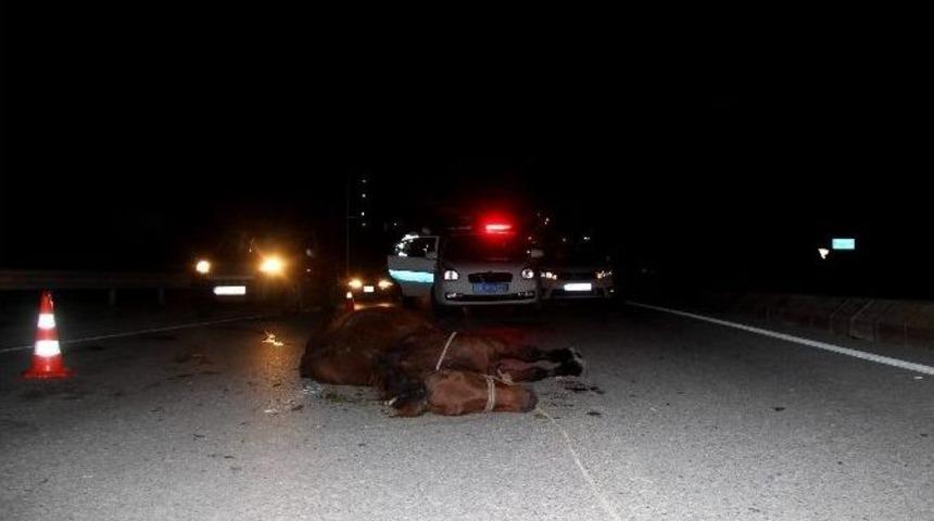 Otomobilin &Ccedil;arptığı At Telef Oldu