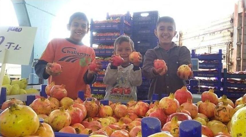 Nar, Pazarcının Baş Belası