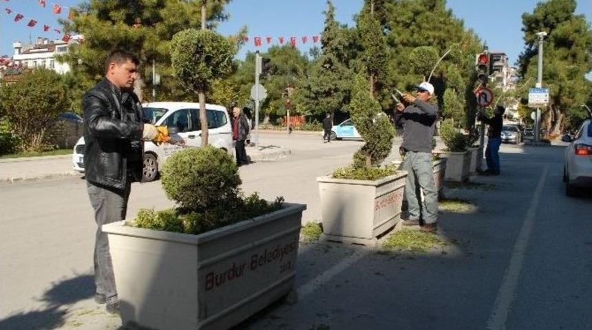 S&uuml;s Bitkilerine Sonbahar Bakımı