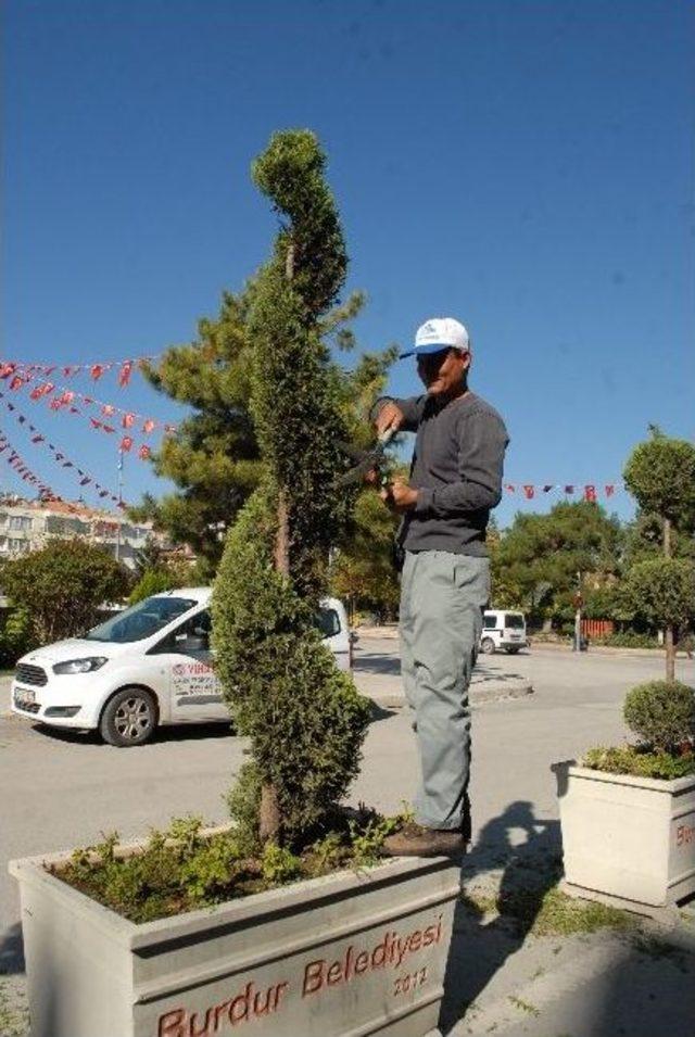 Süs Bitkilerine Sonbahar Bakımı