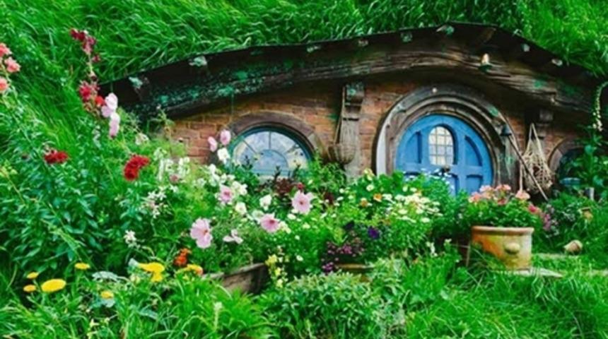 Yeni Zelanda'yı gidip g&ouml;rmemiz i&ccedil;in 20 sebep