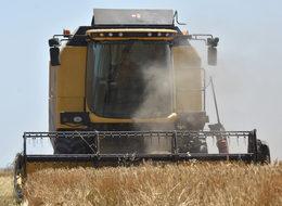 Türkiye dünya nüfusunun yüzde 90'ına un ihraç etti