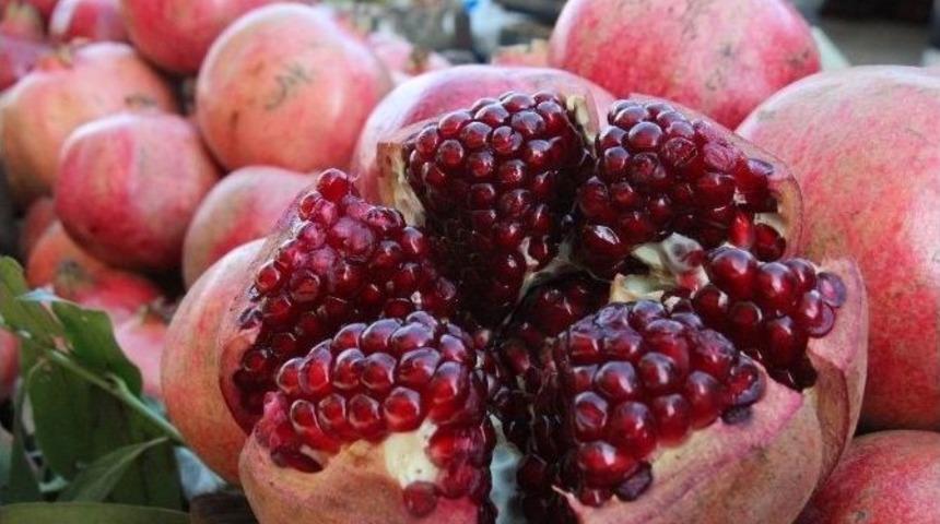 Şifa Kaynağı Nar Tezgahları S&uuml;sledi