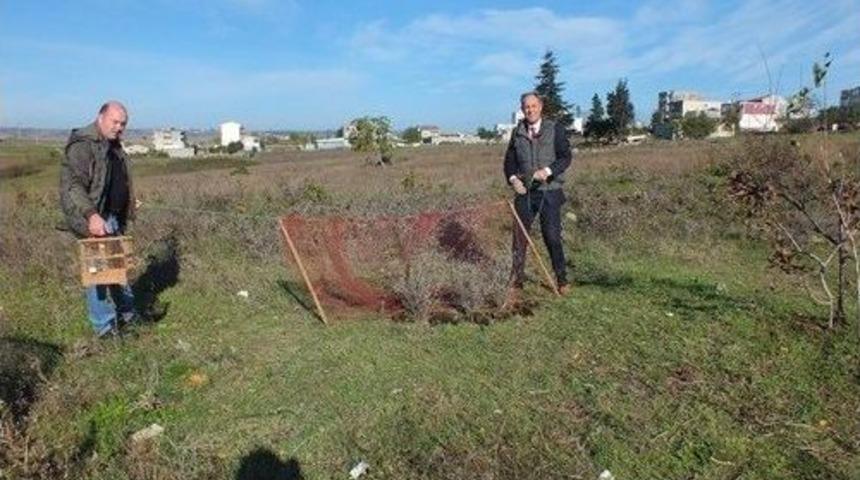 Saka Avcılarına G&ouml;z A&ccedil;tırılmıyor