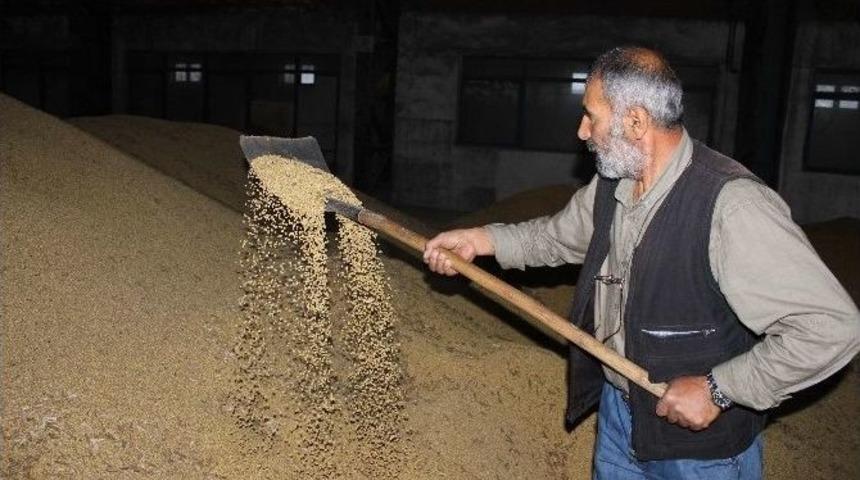 2 Milyon Tonluk Soya İthalatına Bakanlık El Attı
