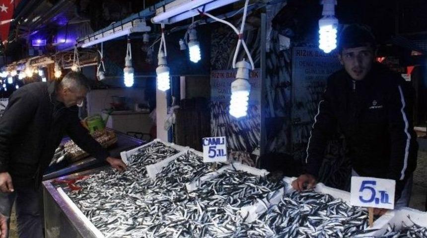 Havalar Soğudu, Hamsi Kendini G&ouml;stermeye Başladı