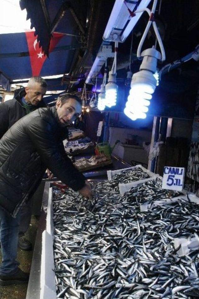 Havalar Soğudu, Hamsi Kendini Göstermeye Başladı