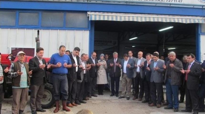 Edincik&rsquo;te Zeytin Alımı Başladı