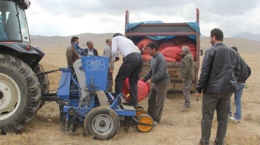 Başkale&rsquo;de 4 Ton Sarımsak Ekildi