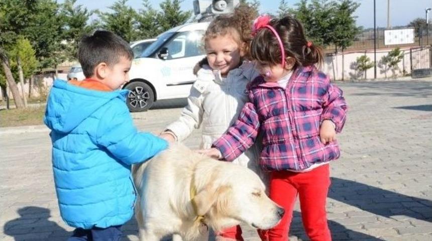 Minik &Ouml;ğrencilerin Hayvan Sevgisi