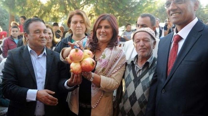 Aydın&rsquo;da Tarlada Kalan 60 Ton Nar Halka Dağıtılacak