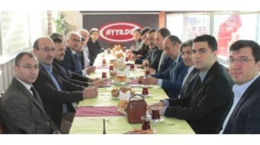 Nazlı Ve Kavuncu Tavşanlı&rsquo;da