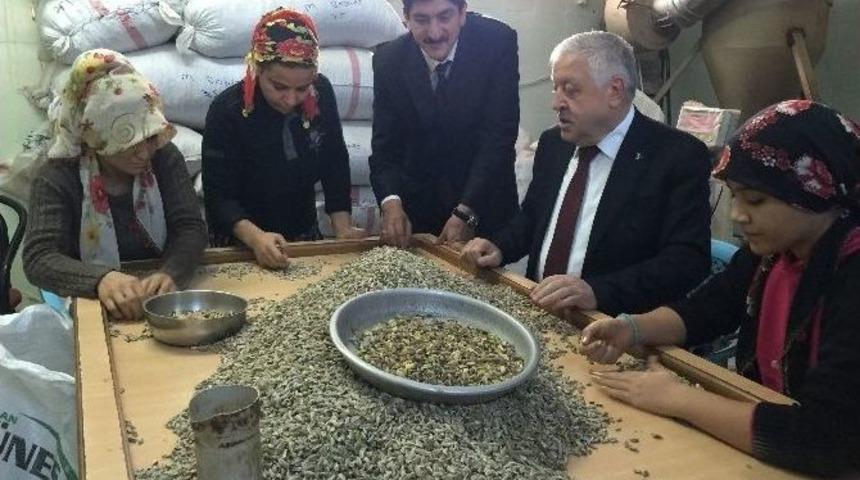 Milletvekili Adayı Uzer, Sebze Hali Ve Fıstık&ccedil;ılar Esnafını Ziyaret Etti