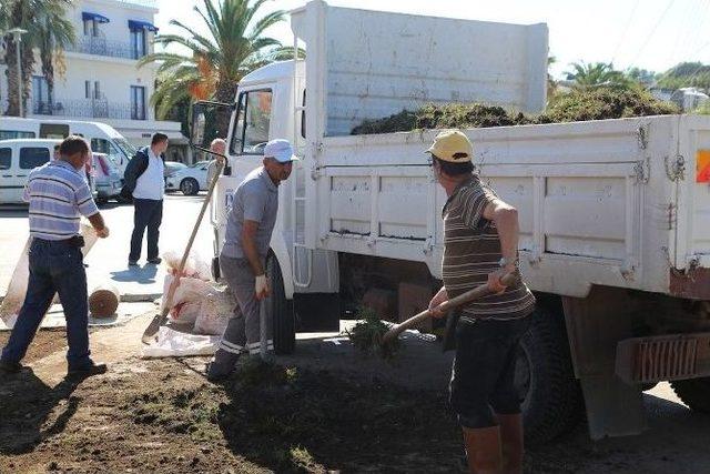 Bodrum’da Çevre Düzenleme Çalışmaları Sürüyor