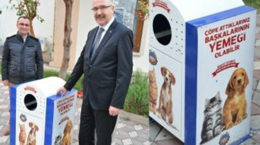 Bayat Ekmekler Sokak Hayvanları İ&ccedil;in Toplanıyor