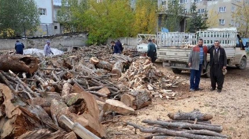 G&ouml;ksun&rsquo;da Odun Satışları Arttı