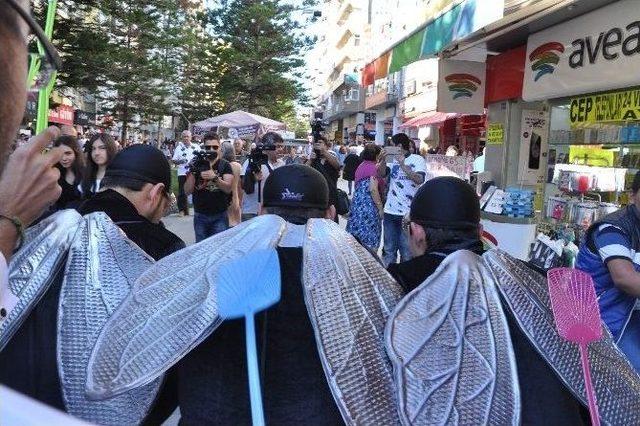 Antalya’da İlginç Karasinek Eylemi