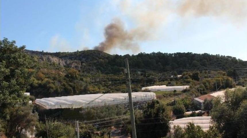 Antalya&rsquo;da Orman Yangını