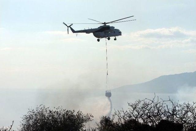 Antalya’da Orman Yangını