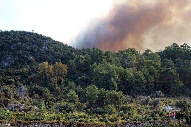 Antalya’da Orman Yangını