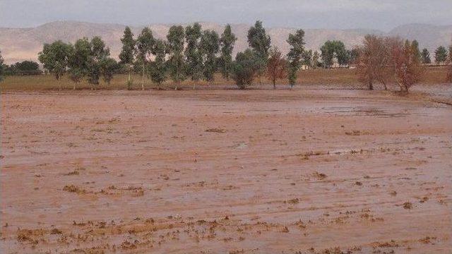 Kanalın Taştığı Mahallede Zarar Oluştu