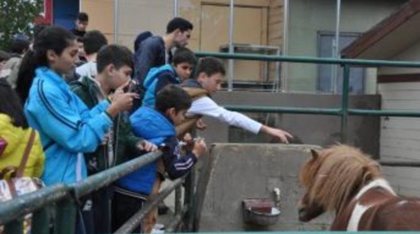 Kağıtsporlu Sporcular Hayvanat Bah&ccedil;esini Gezdi