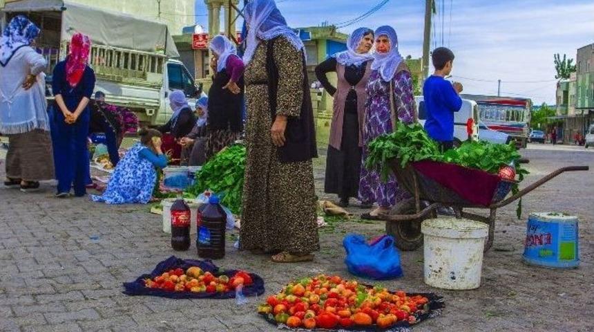 Darge&ccedil;it&rsquo;te Pekmez Yapma Geleneği Devam Ediyor