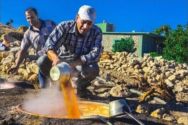 Dargeçit’te Pekmez Yapma Geleneği Devam Ediyor