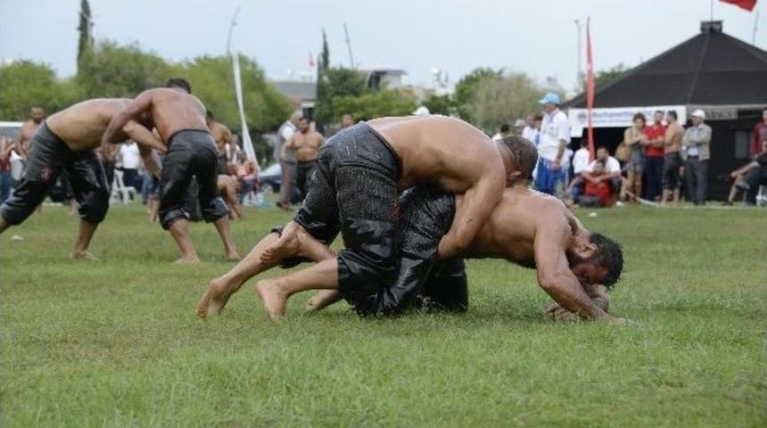 Pehlivanlar Altın Kemer İ&ccedil;in G&uuml;reşti